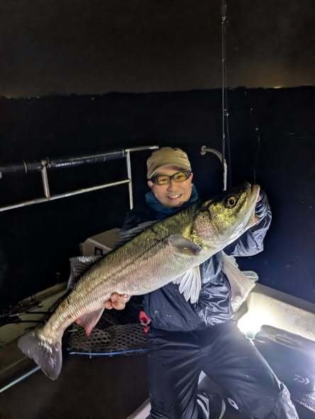 シーバス(スズキ)