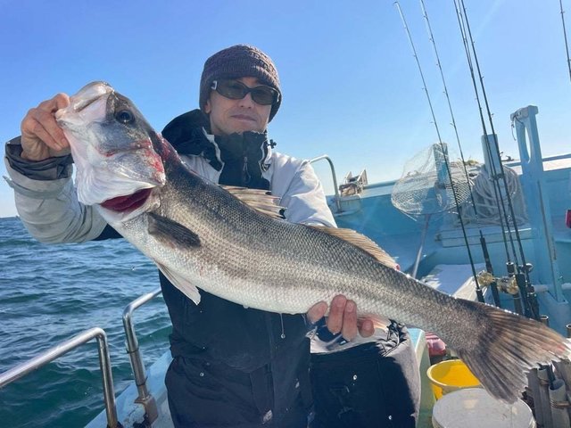 シーバス(スズキ)