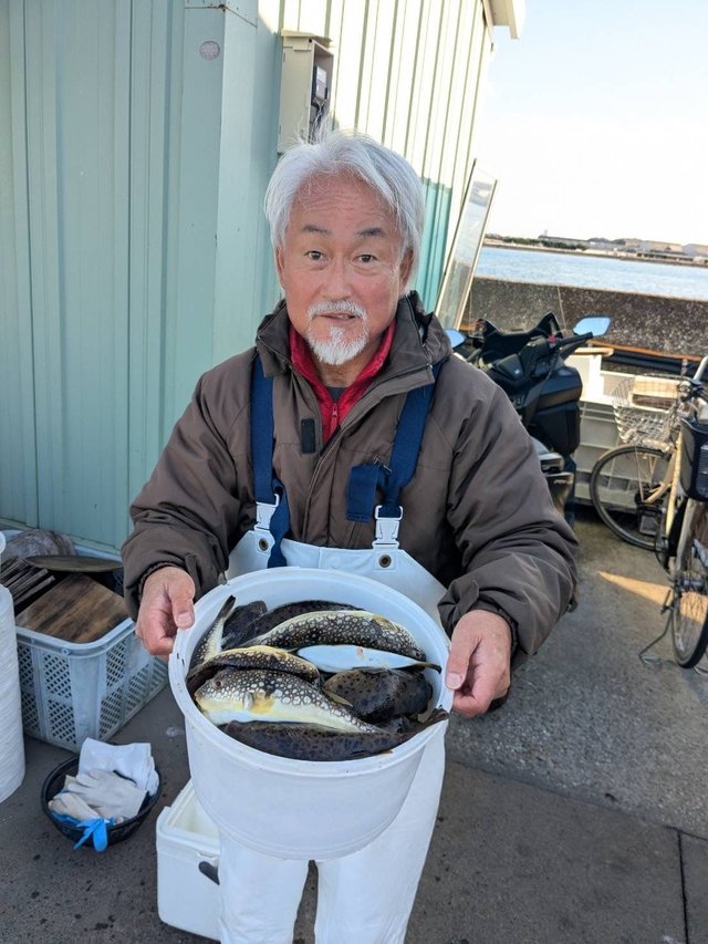 ショウサイフグ