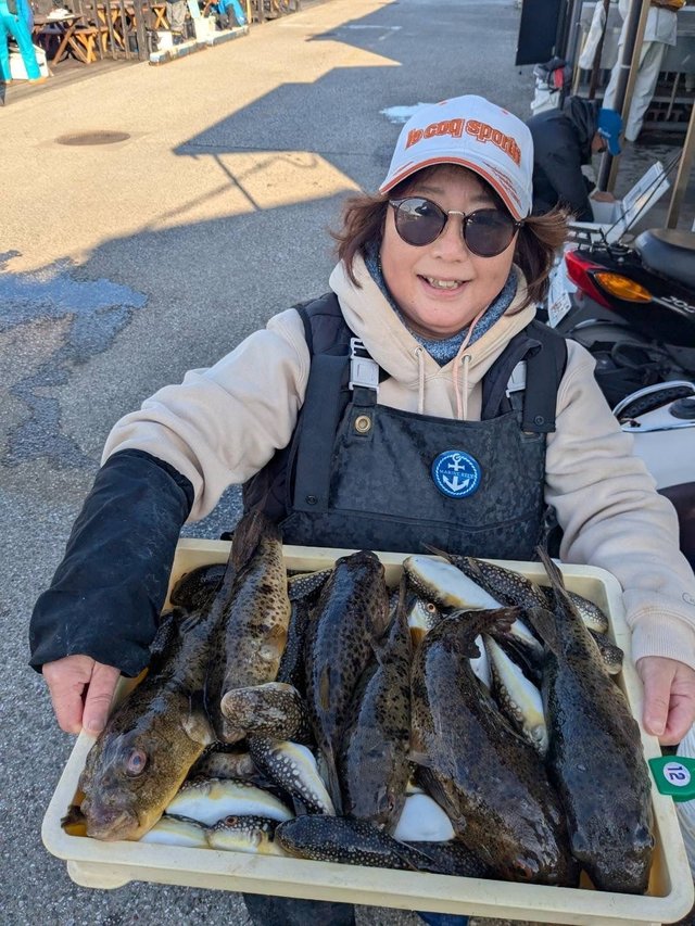 アカメフグ・ショウサイフグ