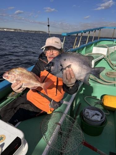 マダイ・イシダイ