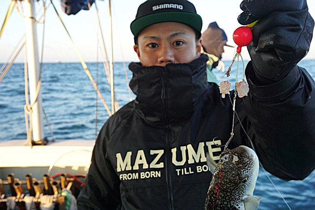 ショウサイフグ