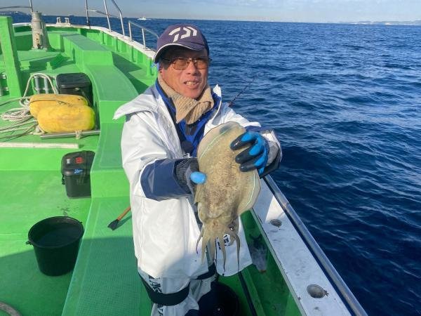 モンゴウイカ(カミナリイカ)