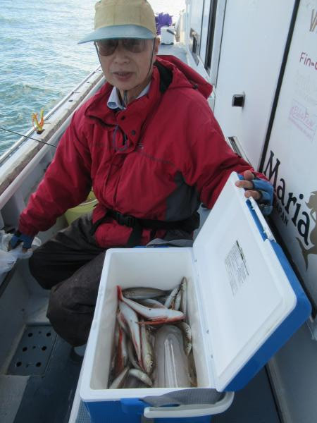 シロギス・ホウボウ