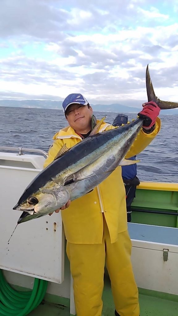 キメジ(キハダ)