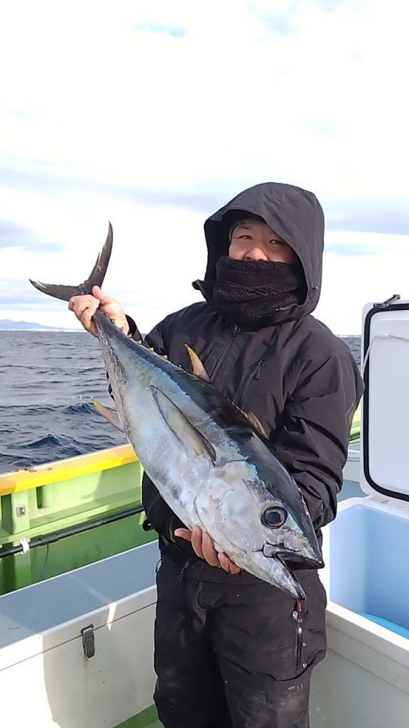 キメジ(キハダ)