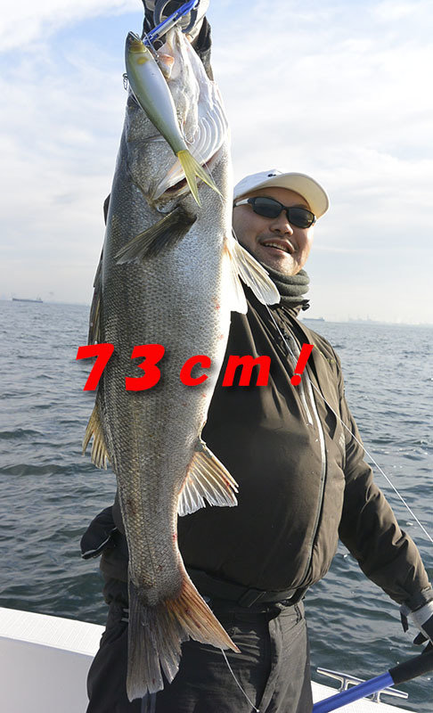 シーバス(スズキ)