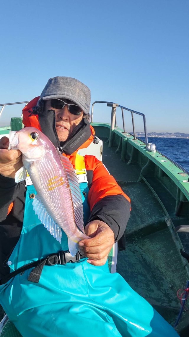 アマダイ(アカアマダイ)