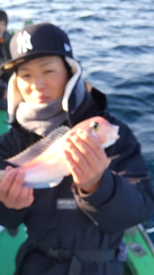 アマダイ(アカアマダイ)