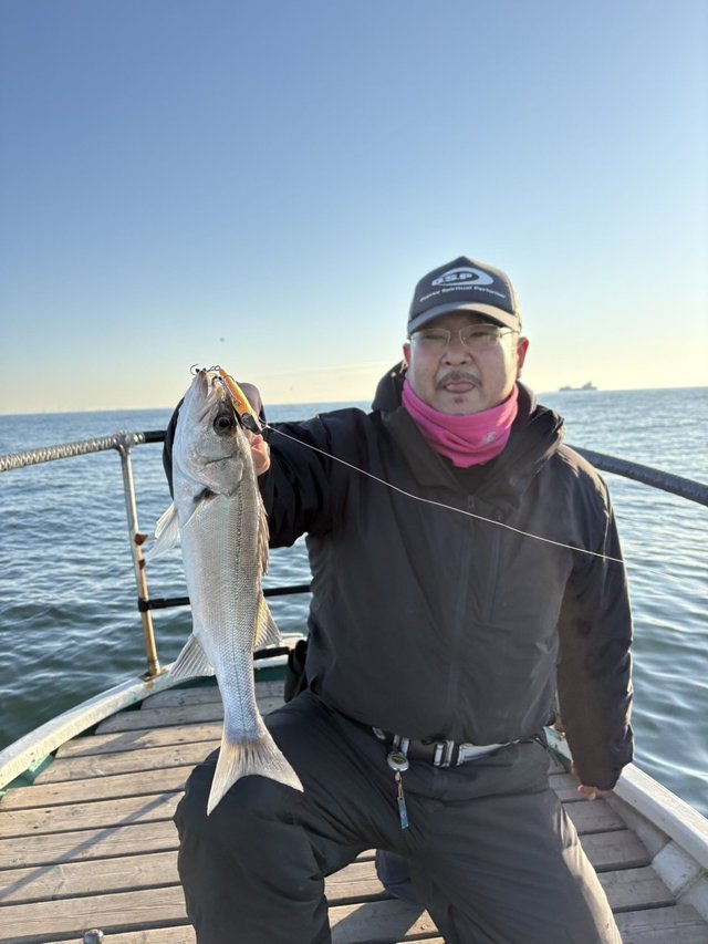 シーバス(スズキ)