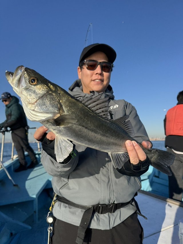 シーバス(スズキ)