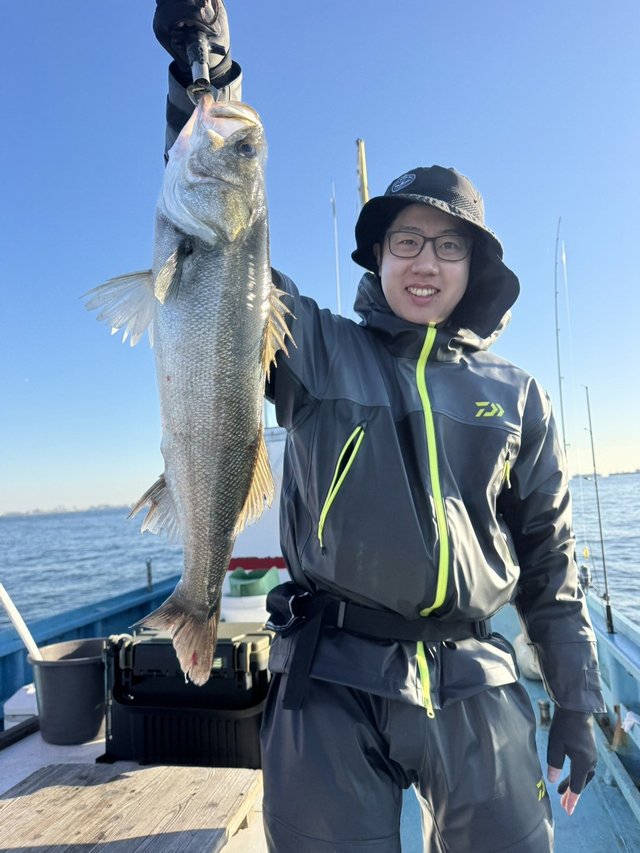 シーバス(スズキ)