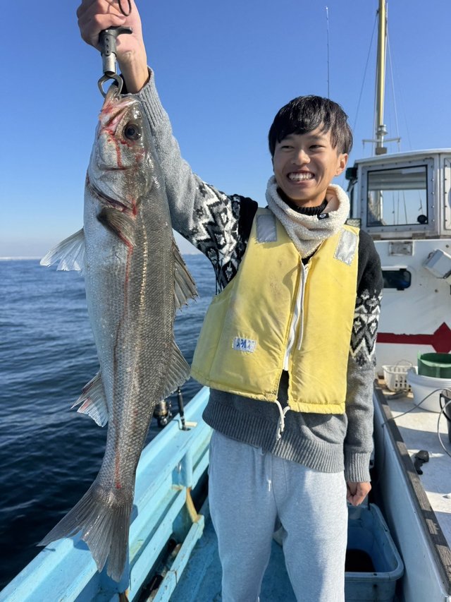 シーバス(スズキ)