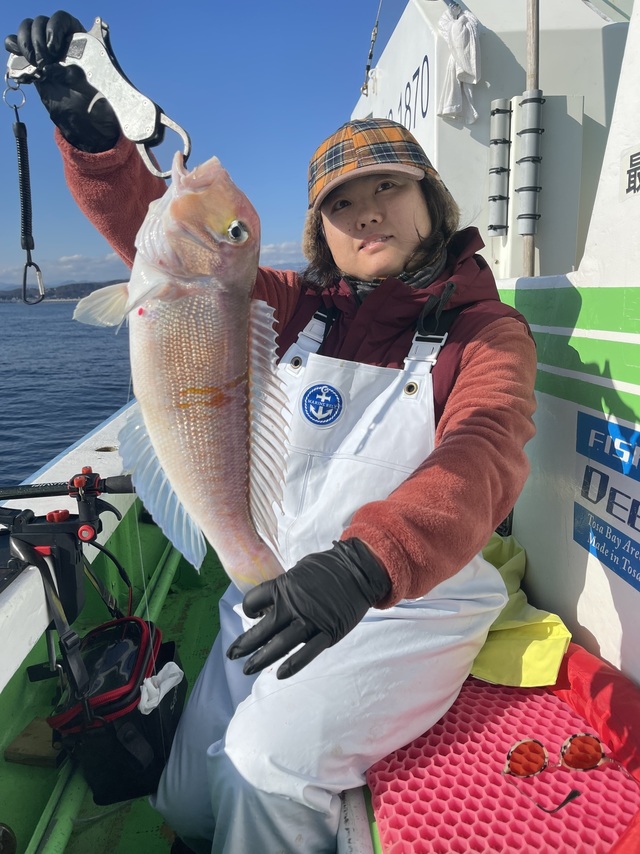 アマダイ(アカアマダイ)