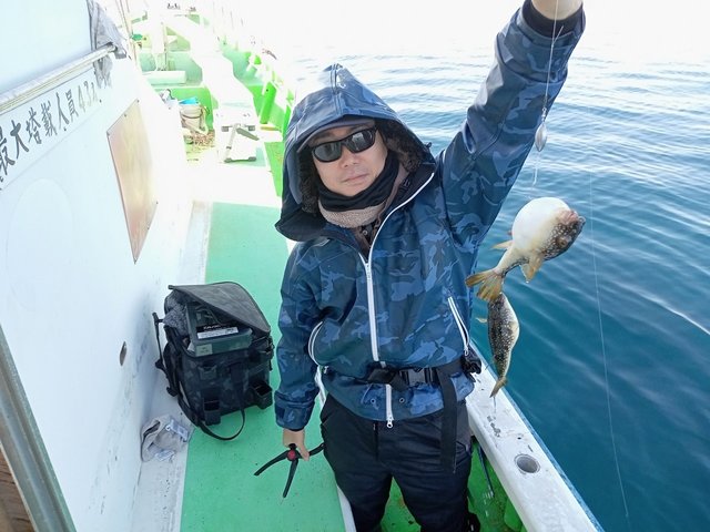 フグ(ショウサイフグ)