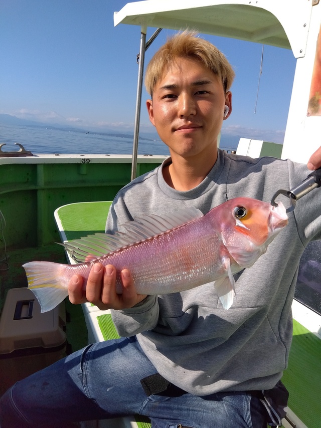 アマダイ(アカアマダイ)