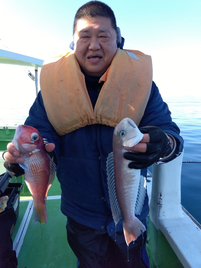 アマダイ(アカアマダイ)