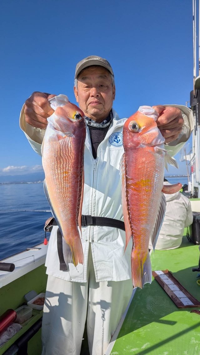 アマダイ(アカアマダイ)