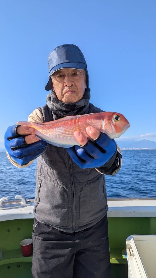 アマダイ(アカアマダイ)