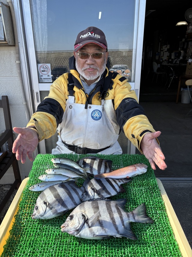 イシダイ・アジ(マアジ)