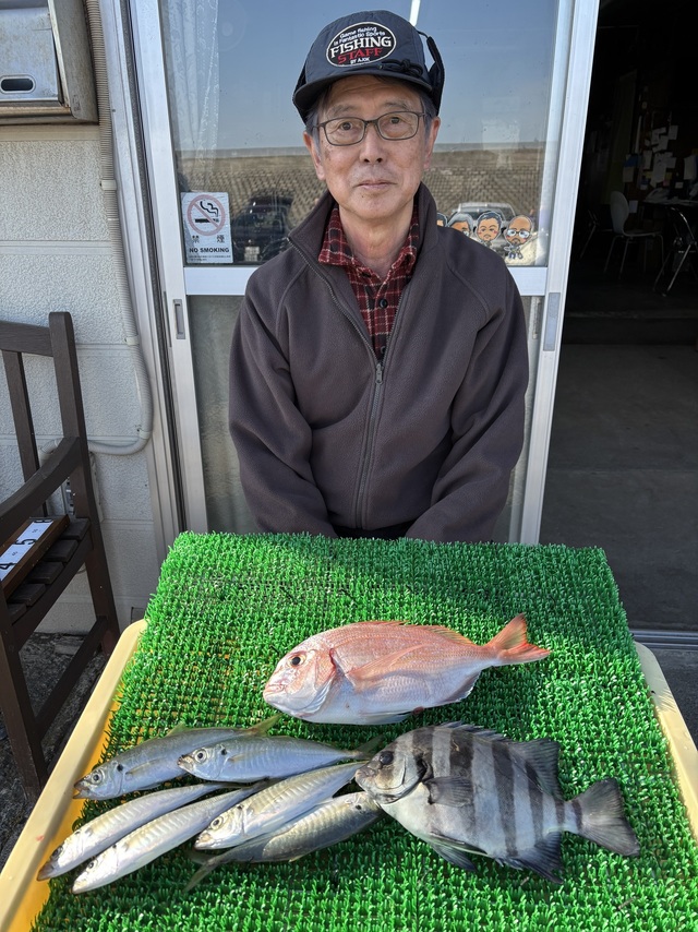 マダイ・イシダイ・アジ(マアジ)