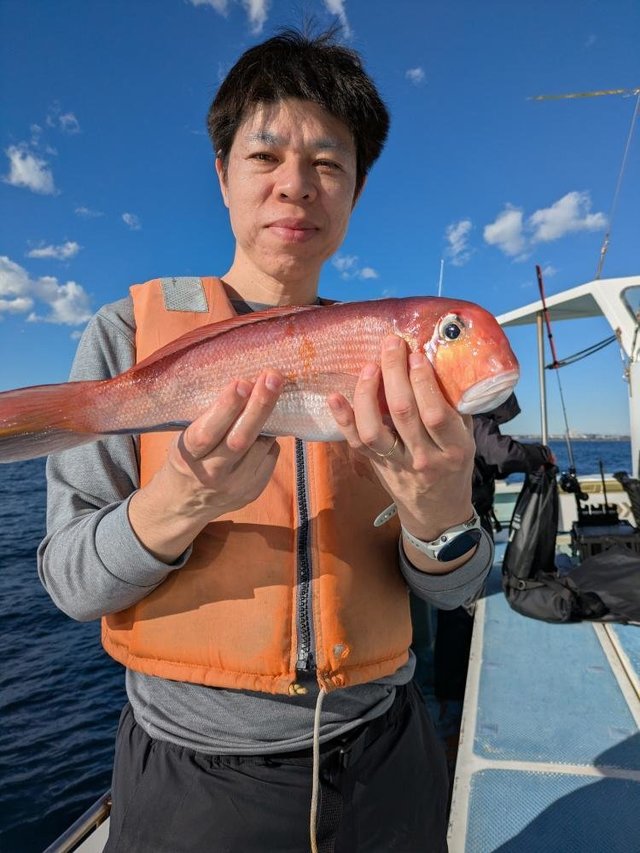 アマダイ(アカアマダイ)