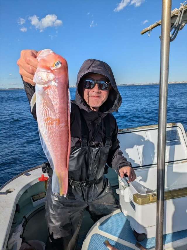 アマダイ(アカアマダイ)