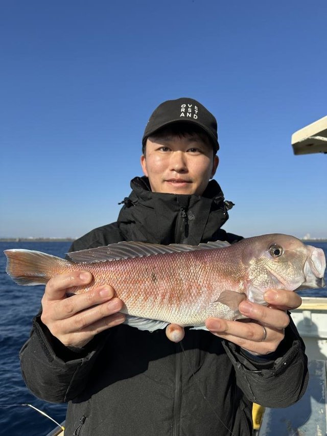 アマダイ(アカアマダイ)