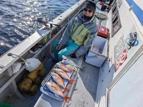マダイ・カイワリ・イナダ(ブリ)