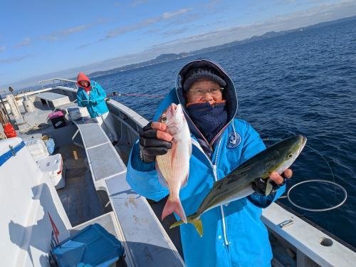 マダイ・イナダ(ブリ)