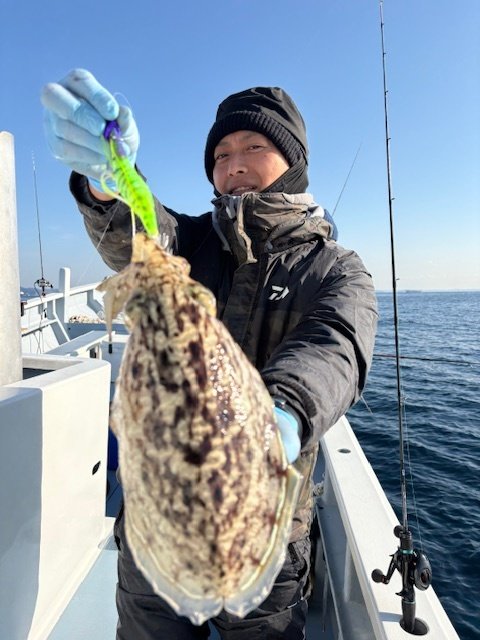 スミイカ(コウイカ)