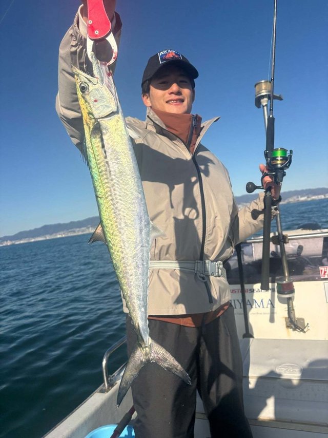 サゴシ(サワラ)