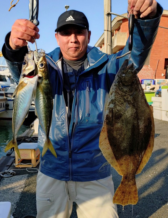 アジ(マアジ)・ヒラメ