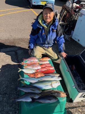 マダイ・レンコダイ(キダイ)・カイワリ・イサギ(イサキ)・ハタ(マハタ)