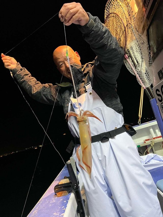 マルイカ(ケンサキイカ)