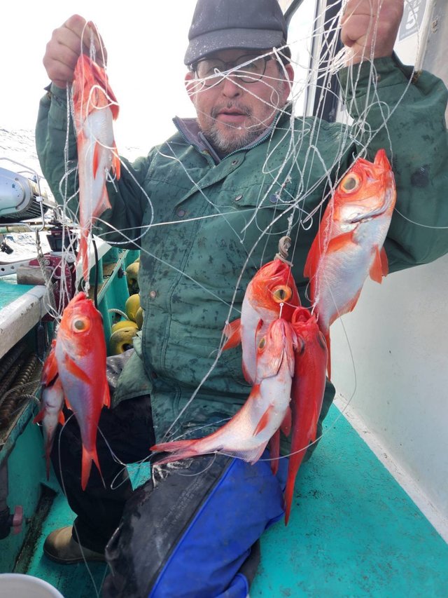 キンメ(キンメダイ)