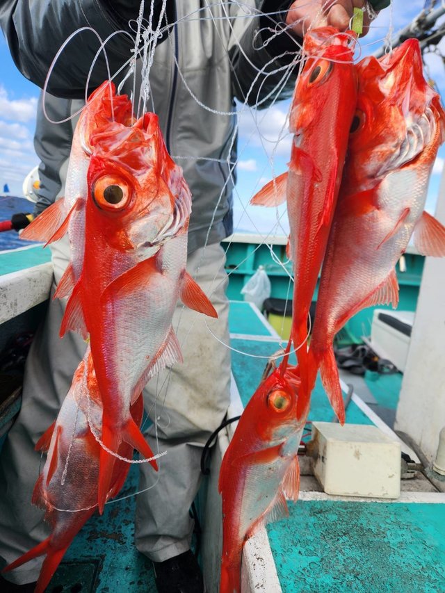 キンメ(キンメダイ)