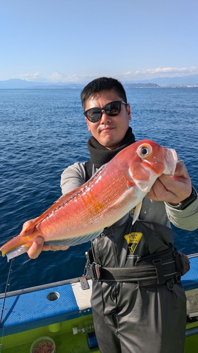 アマダイ(アカアマダイ)