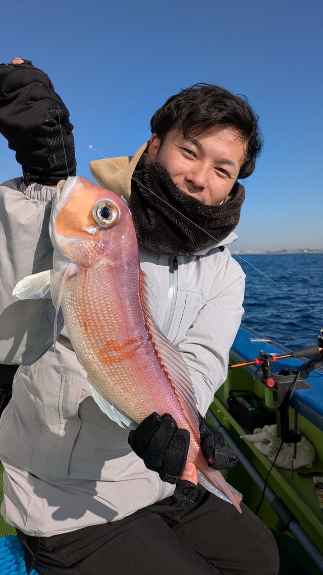 アマダイ(アカアマダイ)