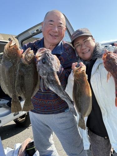 クロソイ・ヒラメ