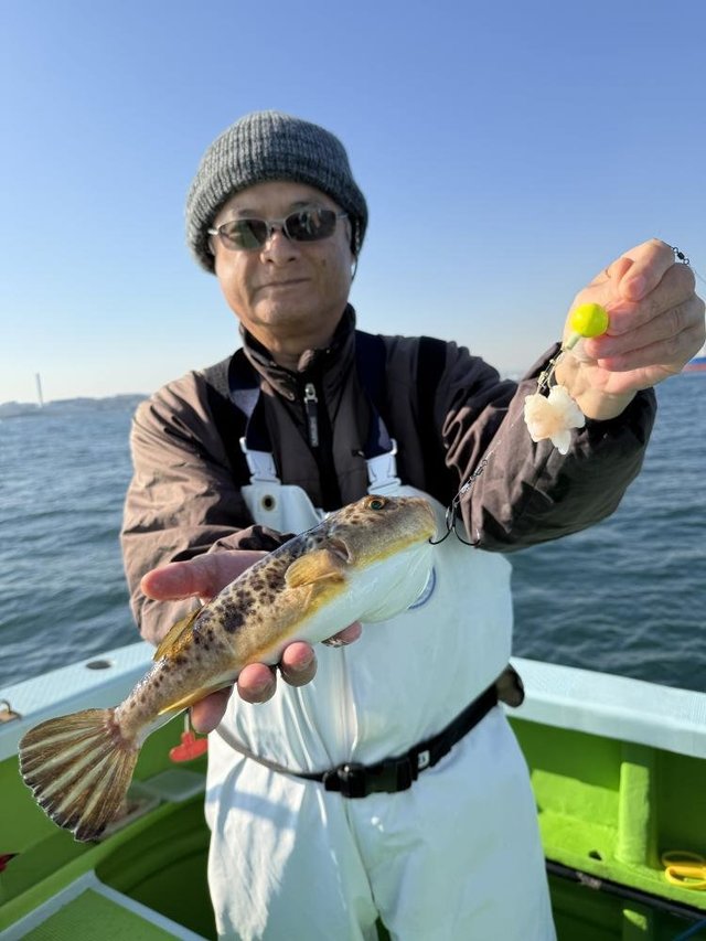 フグ(アカメフグ)