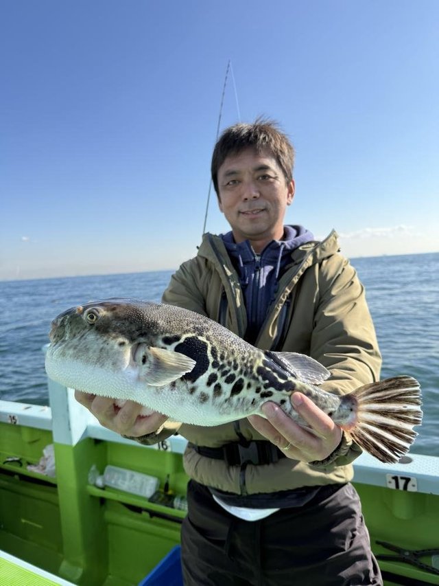 フグ(トラフグ)