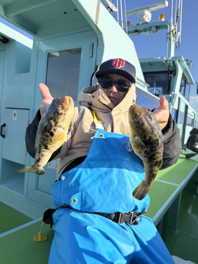 フグ(アカメフグ)