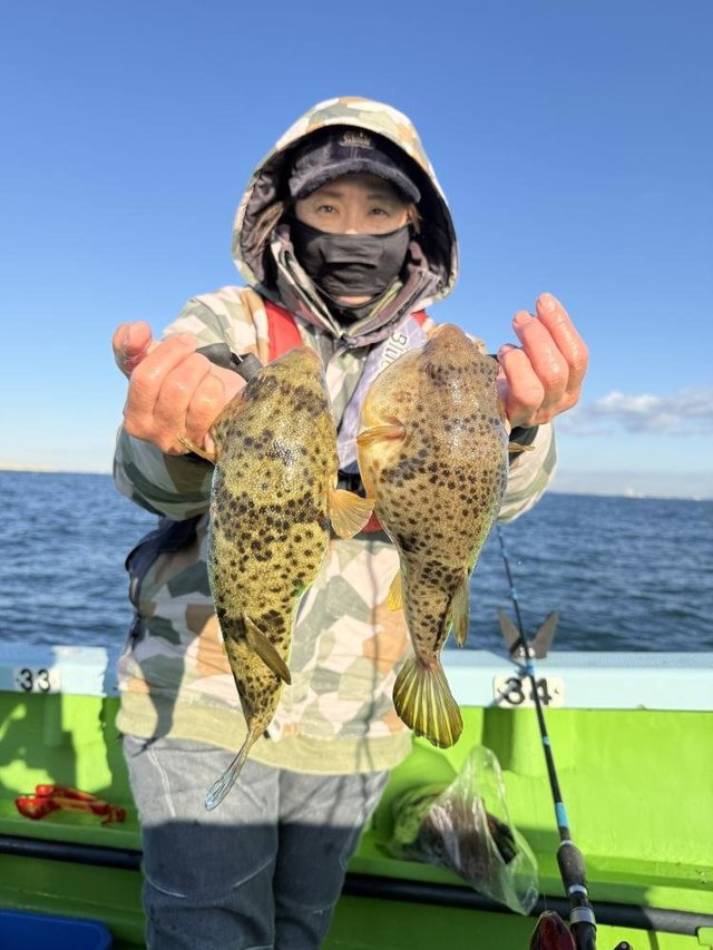 フグ(アカメフグ)