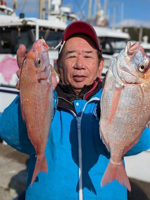 ハナダイ(チダイ)