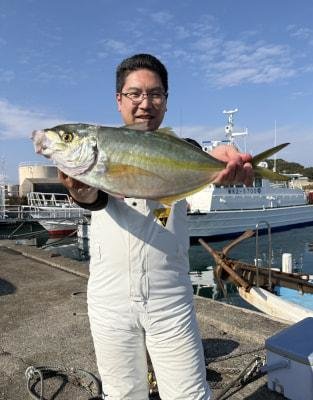 シマアジ