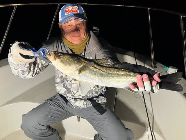 シーバス(スズキ)