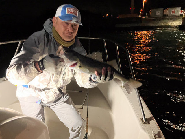 シーバス(スズキ)