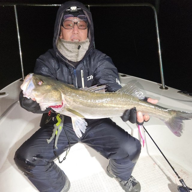 シーバス(スズキ)