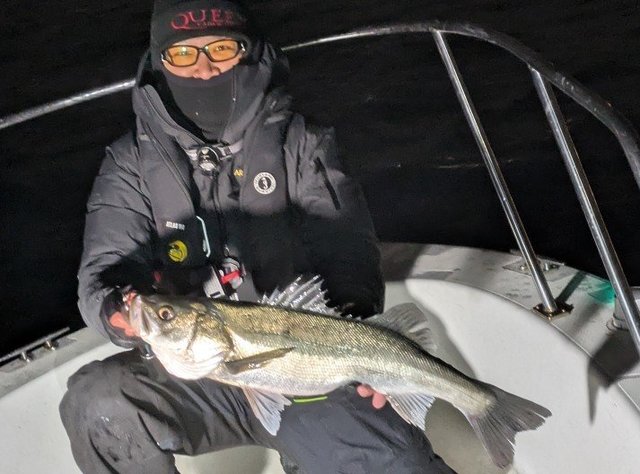 シーバス(スズキ)